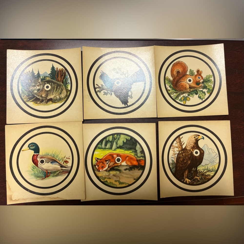 Set of 6 Vintage Shooting Targets from the 1940s: Hawk, Bobcat, Mallard 🦆 & more